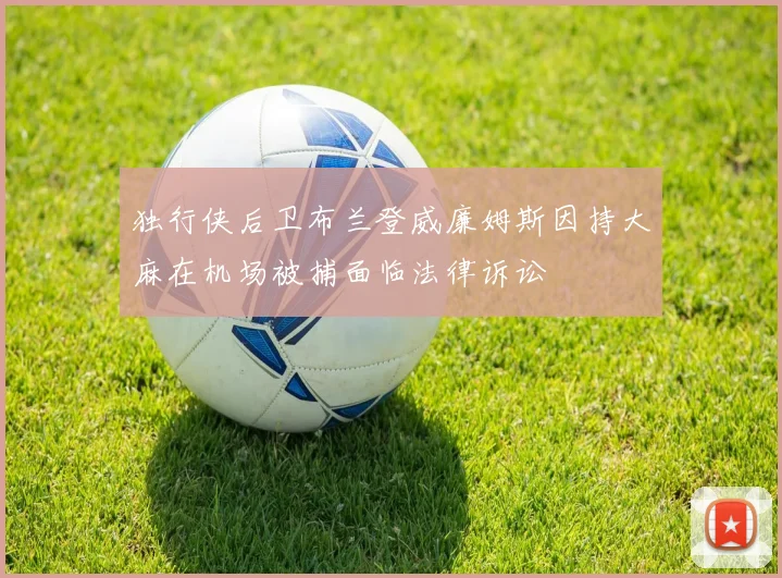 独行侠后卫布兰登威廉姆斯因持大麻在机场被捕面临法律诉讼
