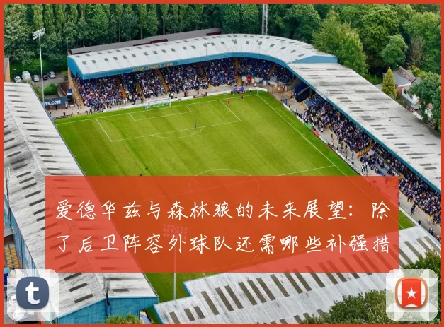 爱德华兹与森林狼的未来展望：除了后卫阵容外球队还需哪些补强措施