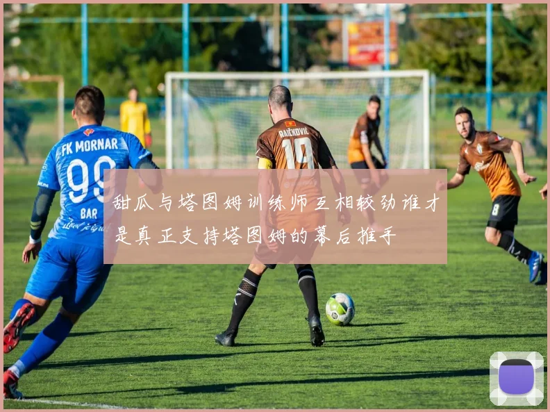 甜瓜与塔图姆训练师互相较劲谁才是真正支持塔图姆的幕后推手