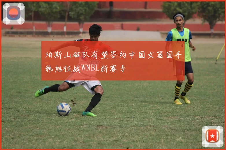 珀斯山猫队有望签约中国女篮国手韩旭征战WNBL新赛季