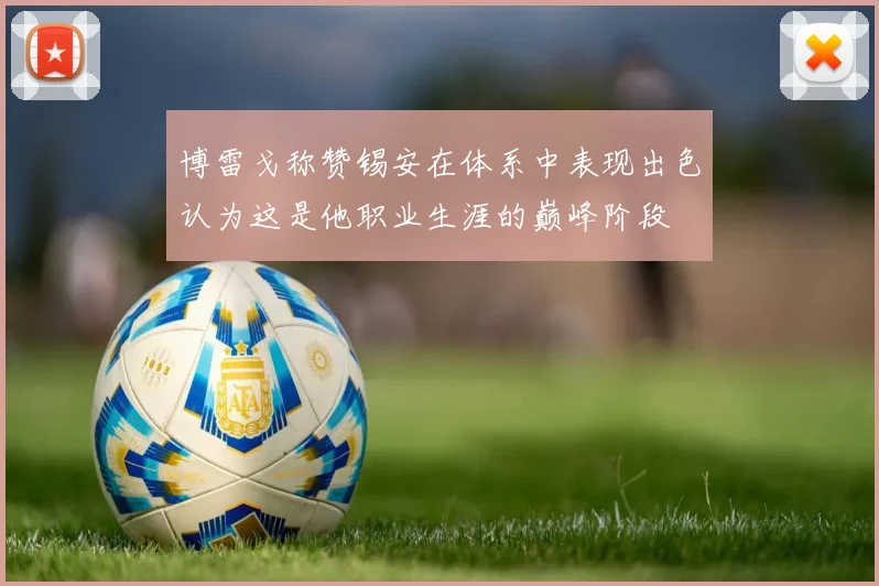 博雷戈称赞锡安在体系中表现出色认为这是他职业生涯的巅峰阶段