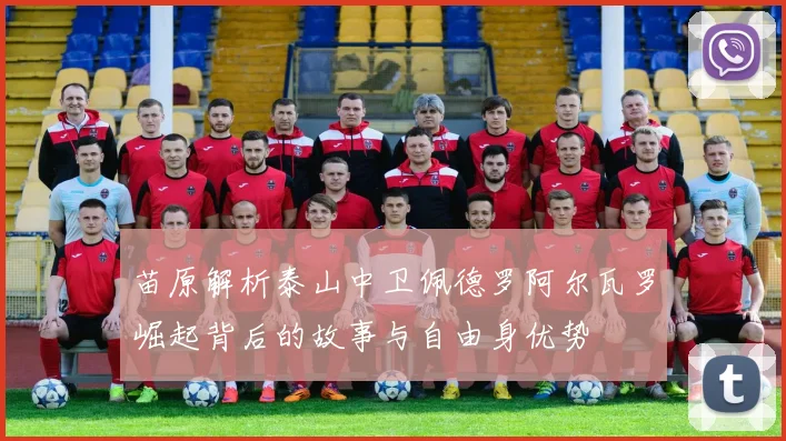 苗原解析泰山中卫佩德罗阿尔瓦罗崛起背后的故事与自由身优势