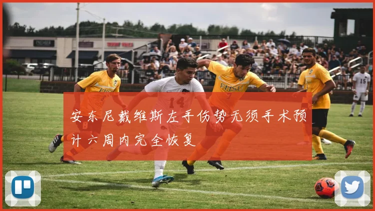 安东尼戴维斯左手伤势无须手术预计六周内完全恢复