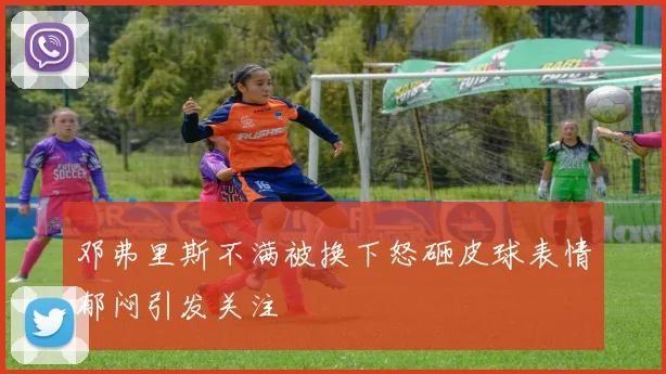邓弗里斯不满被换下怒砸皮球表情郁闷引发关注