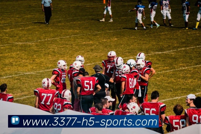 3377体育品牌故事